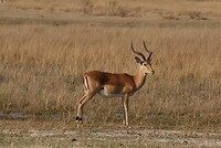 IMG_4846
