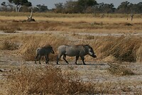 IMG_4848