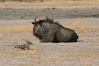 IMG_4859
