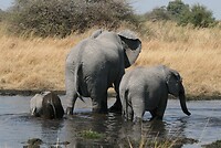 IMG_4870