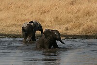 IMG_4876