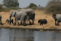 IMG_4897