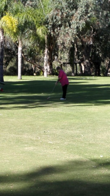Supa golf
