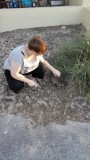even de Quokka aaien
