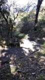 Kokoda track