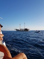 Lijkt op piratenschip de Black Pearl