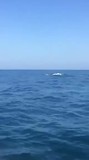 video-1508172989