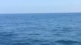 video-1508173095