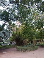 IMG_20220115_163118077