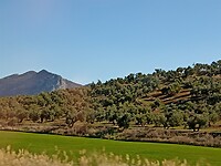 IMG_20220118_134011898_MP