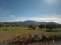 IMG_20220118_135203335