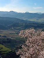 IMG_20220118_171011667