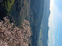 IMG_20220118_171011667