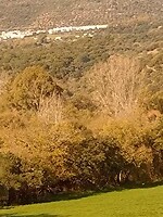 IMG_20220120_120221511