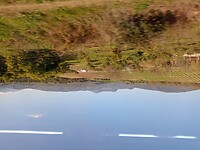 IMG_20220120_122401007