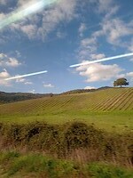 IMG_20220120_123418523_MP