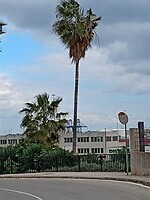 IMG_20220120_142902052