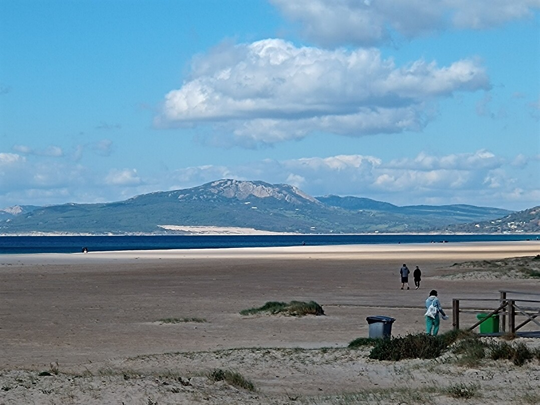 tarifa