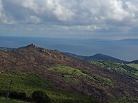 IMG_20220121_141340609