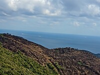 IMG_20220121_141349915_MP