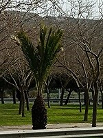 IMG_20220123_112913408