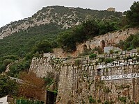 IMG_20220124_120041025