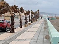 IMG_20220125_104416023