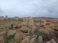IMG_20220125_104811429