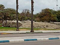 IMG_20220125_110037419