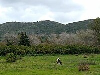 IMG_20220127_110803025