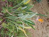 IMG_20220127_134453681