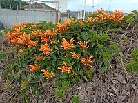 IMG_20220127_135444535