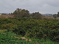 IMG_20220127_141935929
