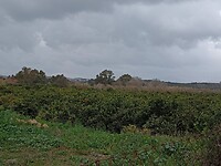 IMG_20220127_141956243