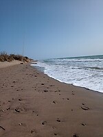 IMG_20220129_133910385