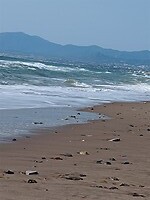 IMG_20220129_134125402_MP