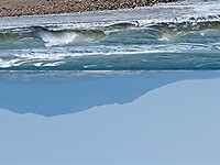 IMG_20220129_135024816