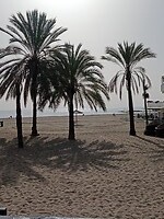 IMG_20220131_130526978