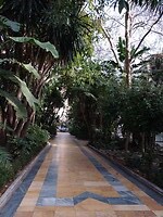 IMG_20220131_163548919