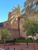 IMG_20220201_150805364