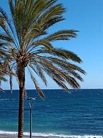 IMG_20220201_153021147