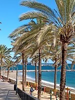 IMG_20220201_153026798
