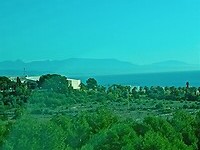 IMG_20220202_111632679_MP