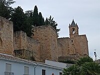 IMG_20220203_112806454