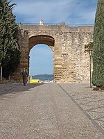IMG_20220203_113257352