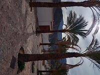 IMG_20220203_113832277_HDR