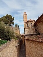 IMG_20220203_114128853