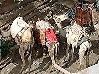 IMG_20220406_153152135