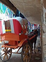 IMG_20220408_102901116