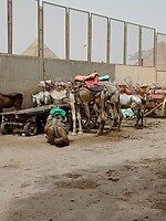 IMG_20220408_105036445